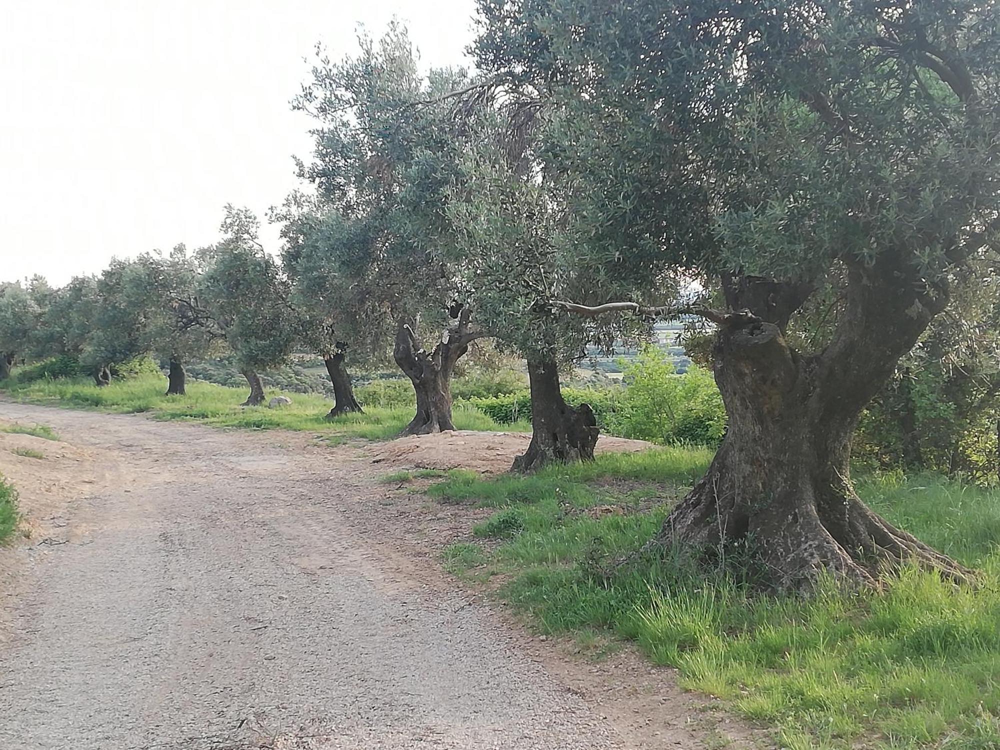 El Mirador De Sabayes Villa Kültér fotó
